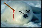 seal.JPG