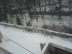 DSC00206.JPG