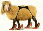 sheepstockingshigh-heels-funny-photos-and-funniest-images.jpg