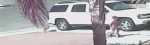 004.gif