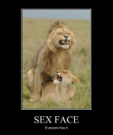 Sex+Face.png