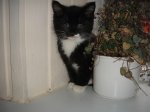 DSC00011.JPG