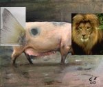 Lion Pig Dolphin.JPG