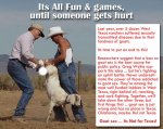 goats[1].jpg