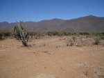 barren-area.jpg