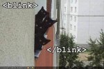 lolcats-funny-pictures-blink.jpg