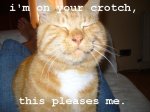 crotch.jpg