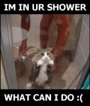 shower21cd6yh5.jpg