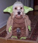 yoda_dog_costume.jpg