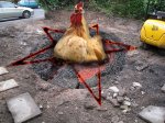devil_cock.jpg