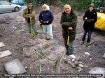 TimeTeam-1.jpg