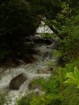 A river runs through it.jpg A river runs through it.jpg