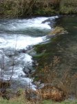 DSCF0038.jpg