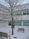 IMG_0664.JPG