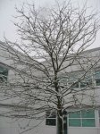 IMG_0677.JPG
