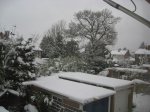 IMG_0684.JPG
