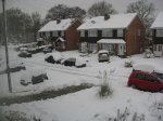 IMG_0686.JPG
