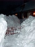 Snowy.jpg