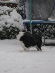 milliesnow2.jpg