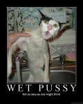wetpussy.jpg