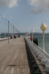 Devon 165#2.jpg