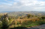 DSC_0144_1024.jpg