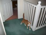 100_0152.jpg