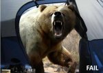 bearfail.jpg
