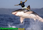 sharkjump.jpg