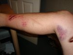 DSC01118.JPG