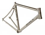 largeAudax.jpg
