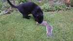 DSC_0064.JPG