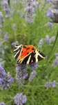 20150802_122147.jpg