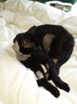 20140707_112538.jpg