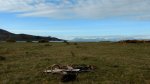 IMG-20170418-WA0008.jpg
