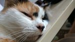 IMG_20170719_120427.jpg