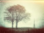 Snapseed (1).jpg