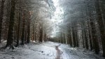 DSC_0150.JPG