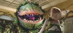 Little-Shop-Horrors-620-05.jpg