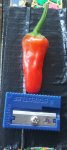 IMG20180807_084355~01.jpg
