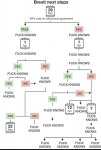 fuckknowsbrexitflowchart.jpg