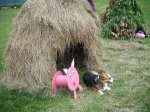 Straw-house-with-pig-and-Daphne-the-writers-do.jpg