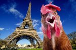 170330-frenchman-abuses-chicken-feature.jpg