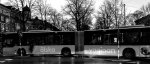 SweBus.jpg