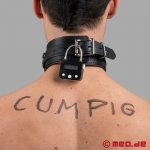 collar.jpg