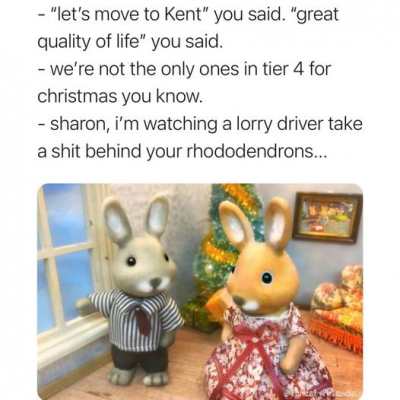 1608760482496.png
