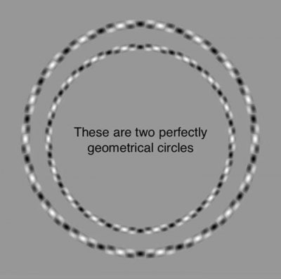 107298070_3245986735447125_6087409278648044463_n.jpg