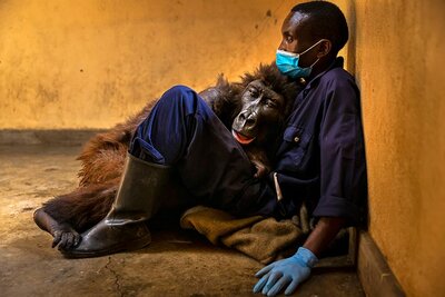 _127039507_brent-stirton-wpy.jpg