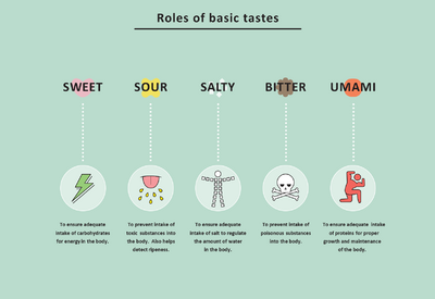 Roles-of-Basic-Tastes.png