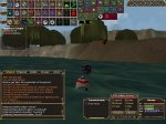 BO JAP PET FEED.jpg